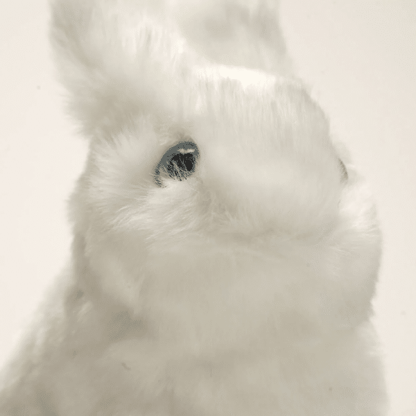 Ma peluche Lapin Léon Blanc